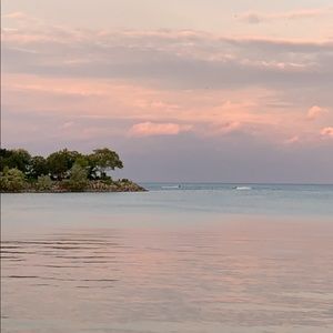 Meet your Posher, Karina